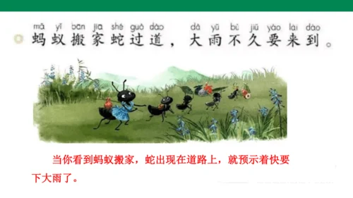 语文园地六