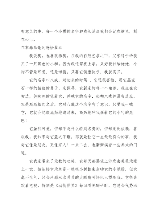 疫情在家隔离不添乱的感悟范文范例四篇