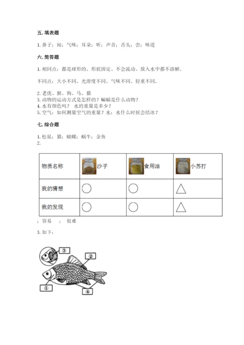 教科版小学科学一年级下册期末测试卷及参考答案（精练）.docx