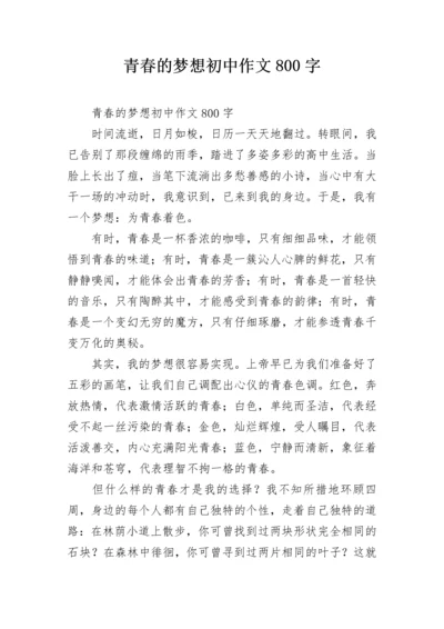 青春的梦想初中作文800字.docx