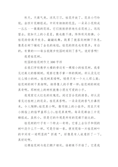 校园的桂花树作文300字.docx