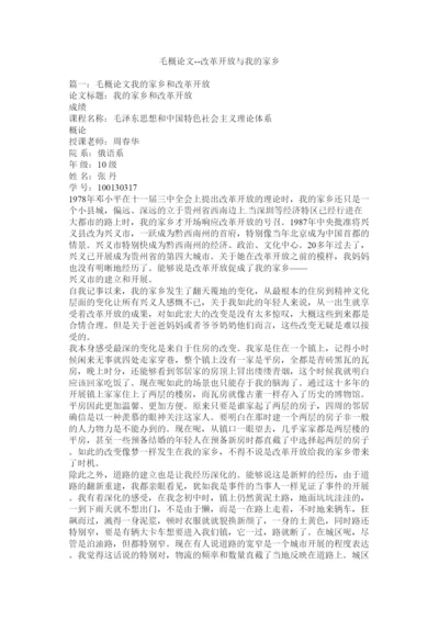 【精编】毛概论文改革开放与我的家乡精选.docx