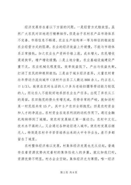 村工作计划及思路.docx