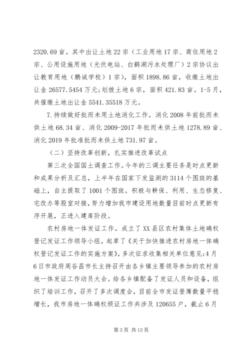 市自然资源局XX年上半年工作总结和下半年工作计划.docx