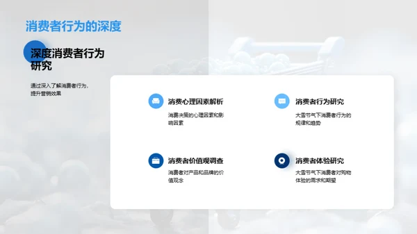 大雪节气消费洞察