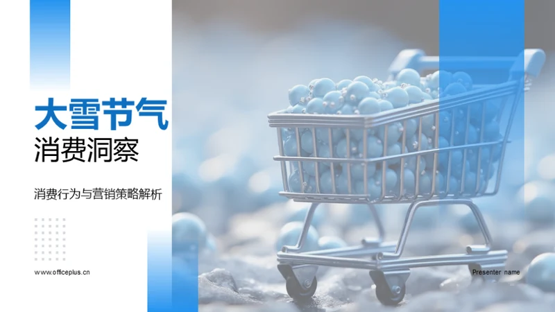 大雪节气消费洞察