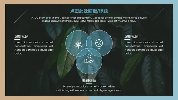 文艺清新总结汇报通用PPT模版