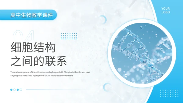蓝色简约风细胞结构探秘PPT