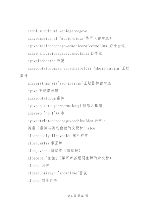 多肉公司建立方案.docx
