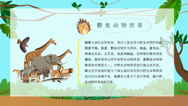 野生动物保护公益活动PPT模板