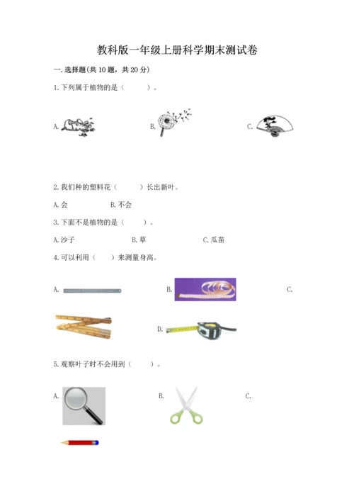 教科版一年级上册科学期末测试卷含答案（巩固）.docx