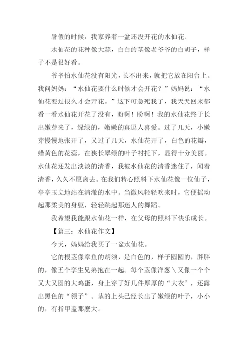 水仙花作文开头.docx