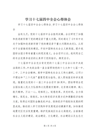 学习十七届四中全会心得体会 (17).docx