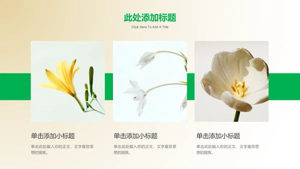 绿色清新风格花卉通用PPT演示模板