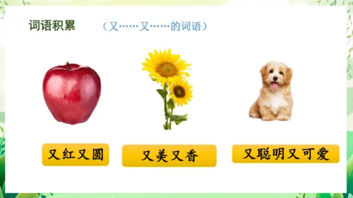 17小猴子下山（教学课件）