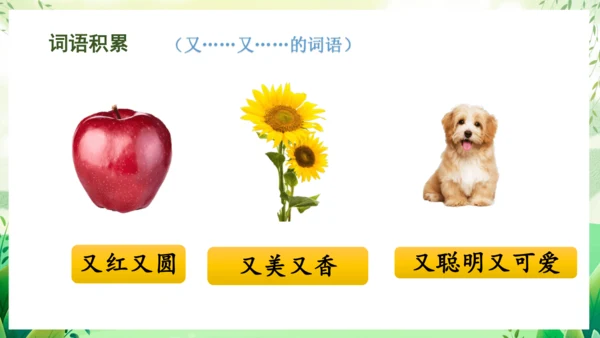 17小猴子下山（教学课件）