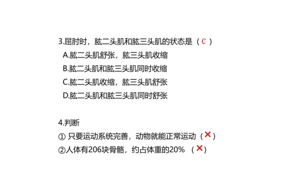 人教版生物八年级上册5.2.1 动物的运动 课件(共34张PPT)+视频素材