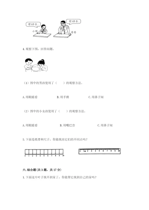 教科版一年级上册科学期末测试卷（综合卷）.docx