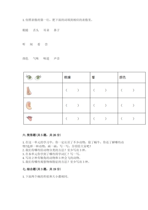 教科版小学科学一年级下册期末测试卷完美版.docx