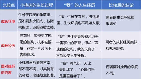 第19课 一棵小桃树 课件(共24张PPT)