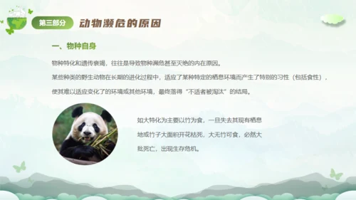 保护濒危动物，拯救美好生命通用PPT模板