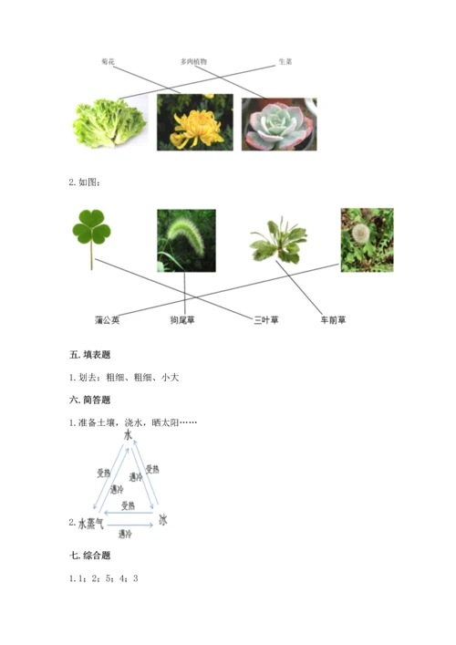 教科版科学一年级上册第一单元《植物》测试卷及答案【精品】.docx