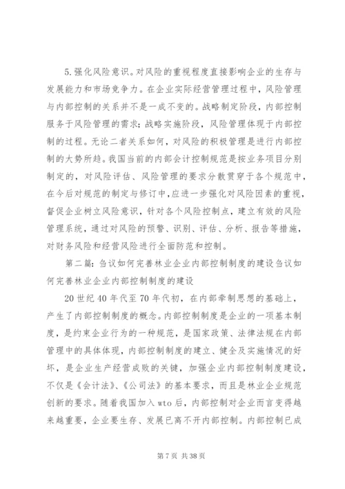 如何建设与完善我国企业内部控制制度.docx