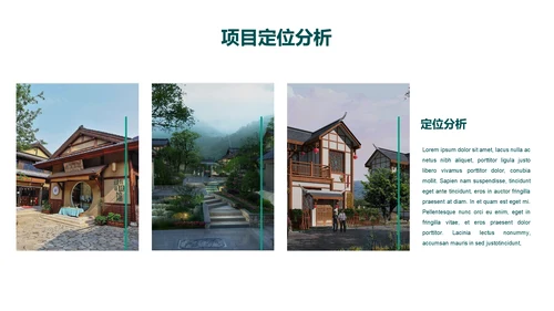 农村特色小镇项目计划书通用PPT模板