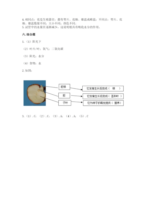 教科版四年级下册科学第一单元《植物的生长变化》测试卷精品（预热题）.docx