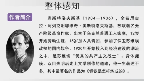 七年级下册语文第五单元整本书阅读 《钢铁是怎样炼成的》课件