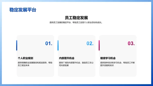 公司总结报告