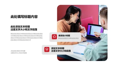 图文页-红色商务风1项说明图