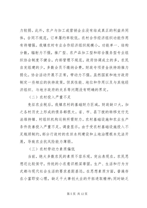 乡镇城镇建设调研报告.docx