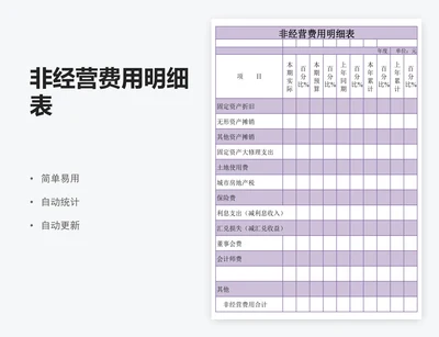 非经营费用明细表