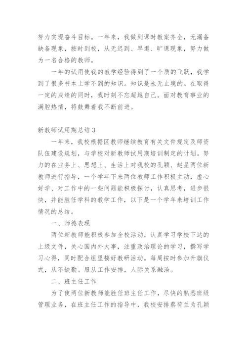 新教师试用期总结.docx