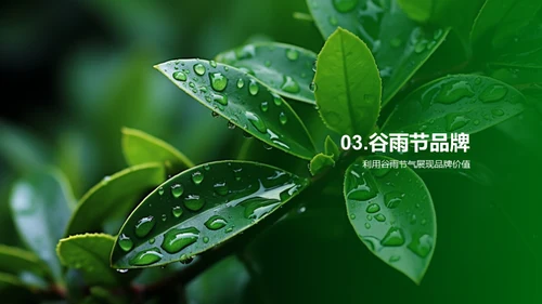 谷雨品牌战略