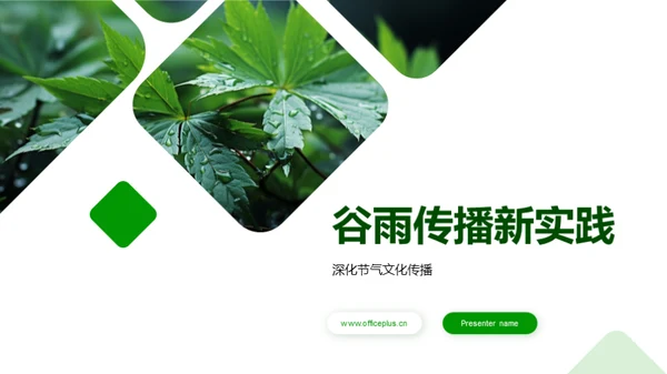 谷雨传播新实践