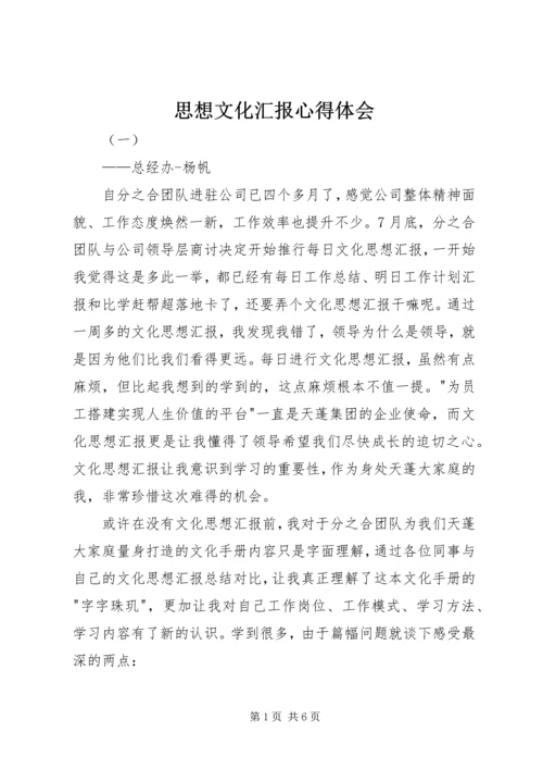 思想文化汇报心得体会.docx