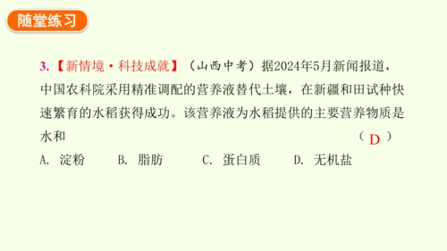 3.1.2植株的生长-七年级生物下学期同步精品课件（2024人教版）(共26张PPT)