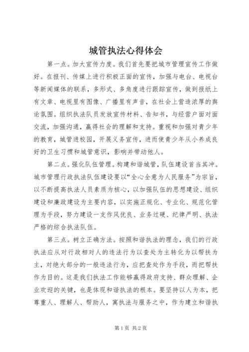 城管执法心得体会 (2).docx