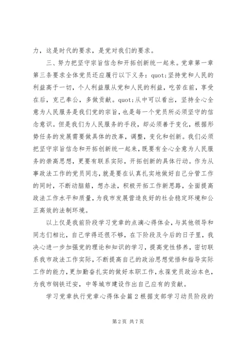 学习党章执行党章心得体会.docx