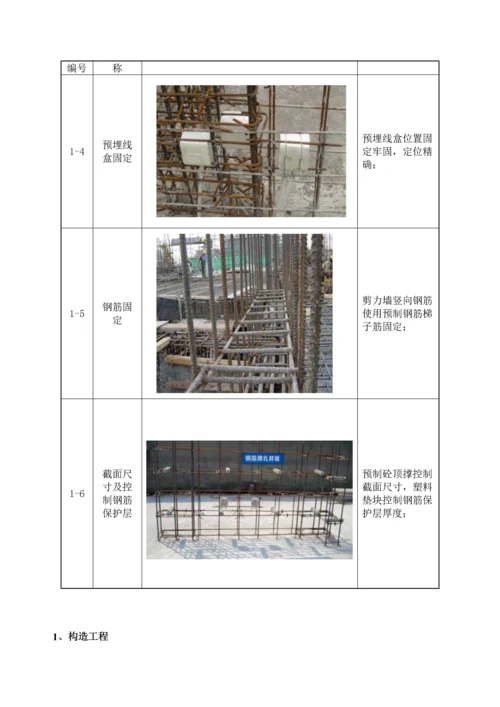 关键工程样板引路实施专题方案.docx