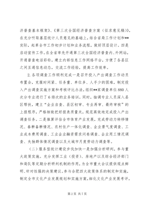 市统计局上半年工作总结及下半年工作计划.docx