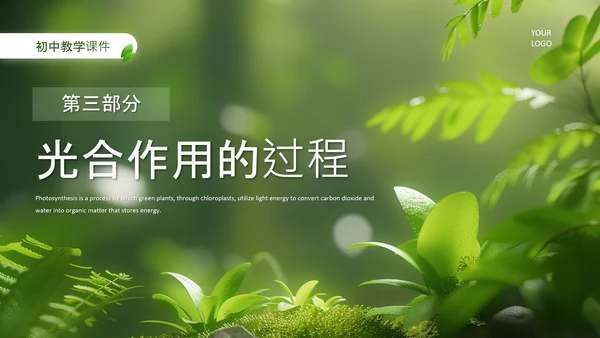 绿色清新风植物的光合作用PPT模板