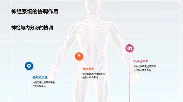 探索人体奇妙机制