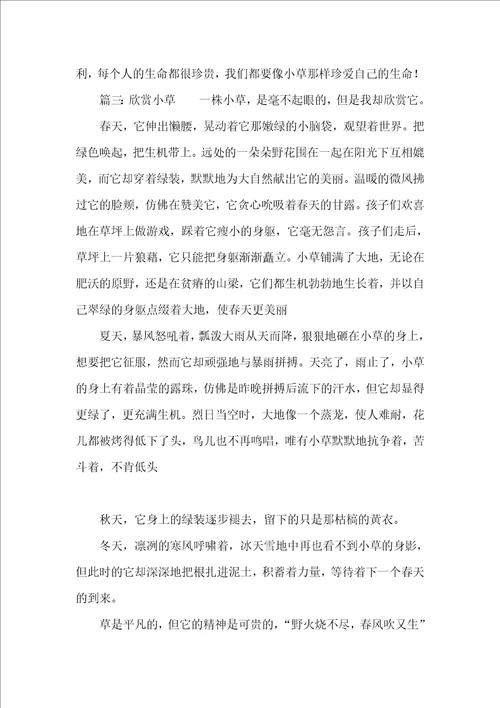 欣赏小草精选作文500字