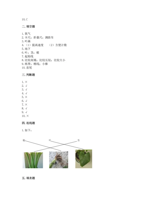 教科版科学一年级上册期末测试卷（精华版）.docx