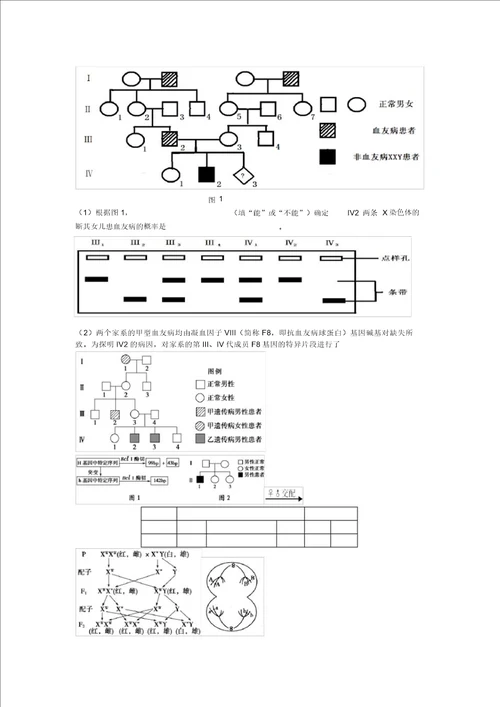 2022届高考生物一轮复习第五单元基因在染色体上和伴性遗传学案