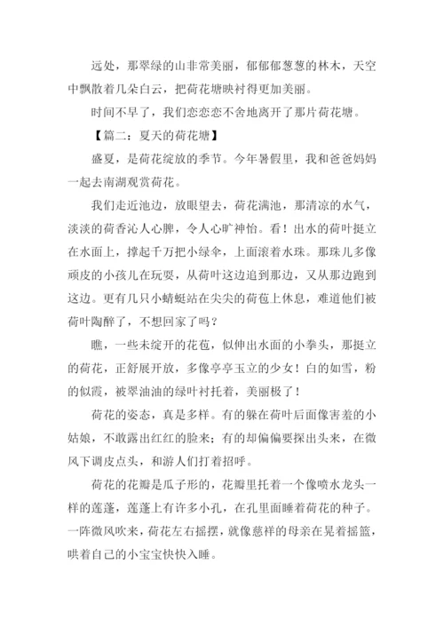 夏天的荷花塘作文400字.docx