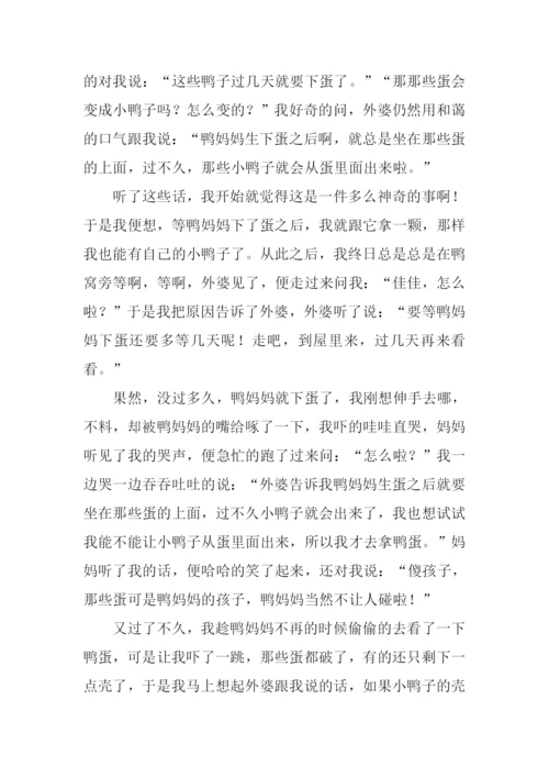 童年乐趣作文.docx